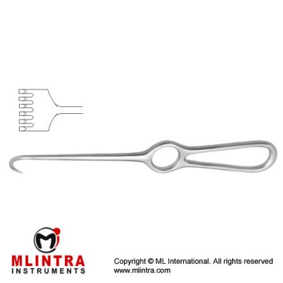 Volkmann Retractor 6 Sharp Prongs Stainless Steel, 22 cm - 8 3/4"
